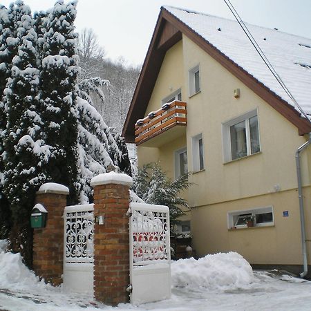 Villa Harmonia Panzio Visegrád Zewnętrze zdjęcie