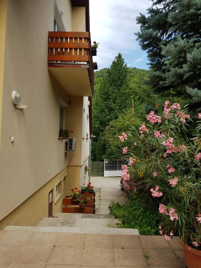 Villa Harmonia Panzio Visegrád Zewnętrze zdjęcie